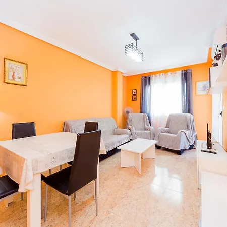 Alegria Id 55 Torrevieja