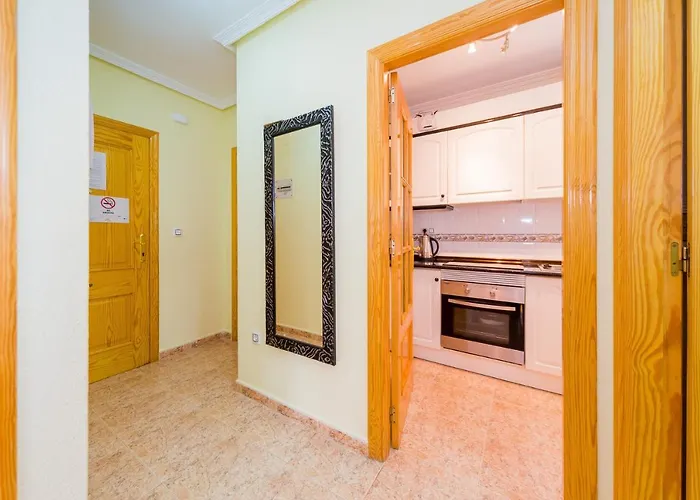 Alegria Id 55 Torrevieja